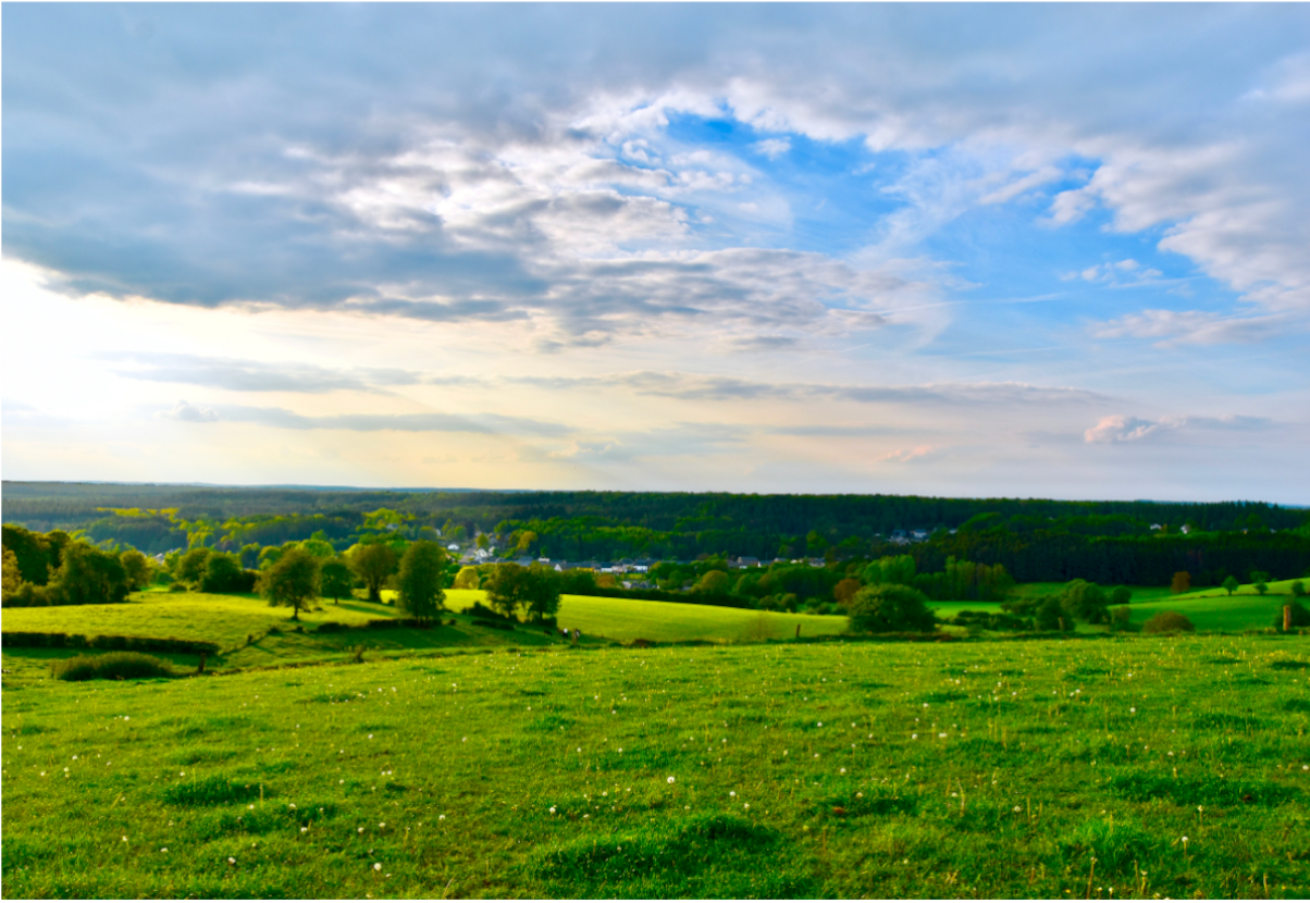 campo bonito