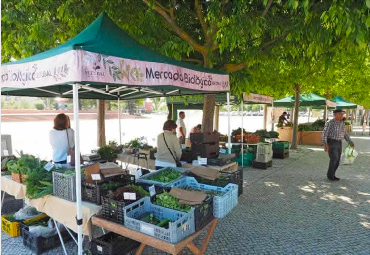 mercado de agricultores